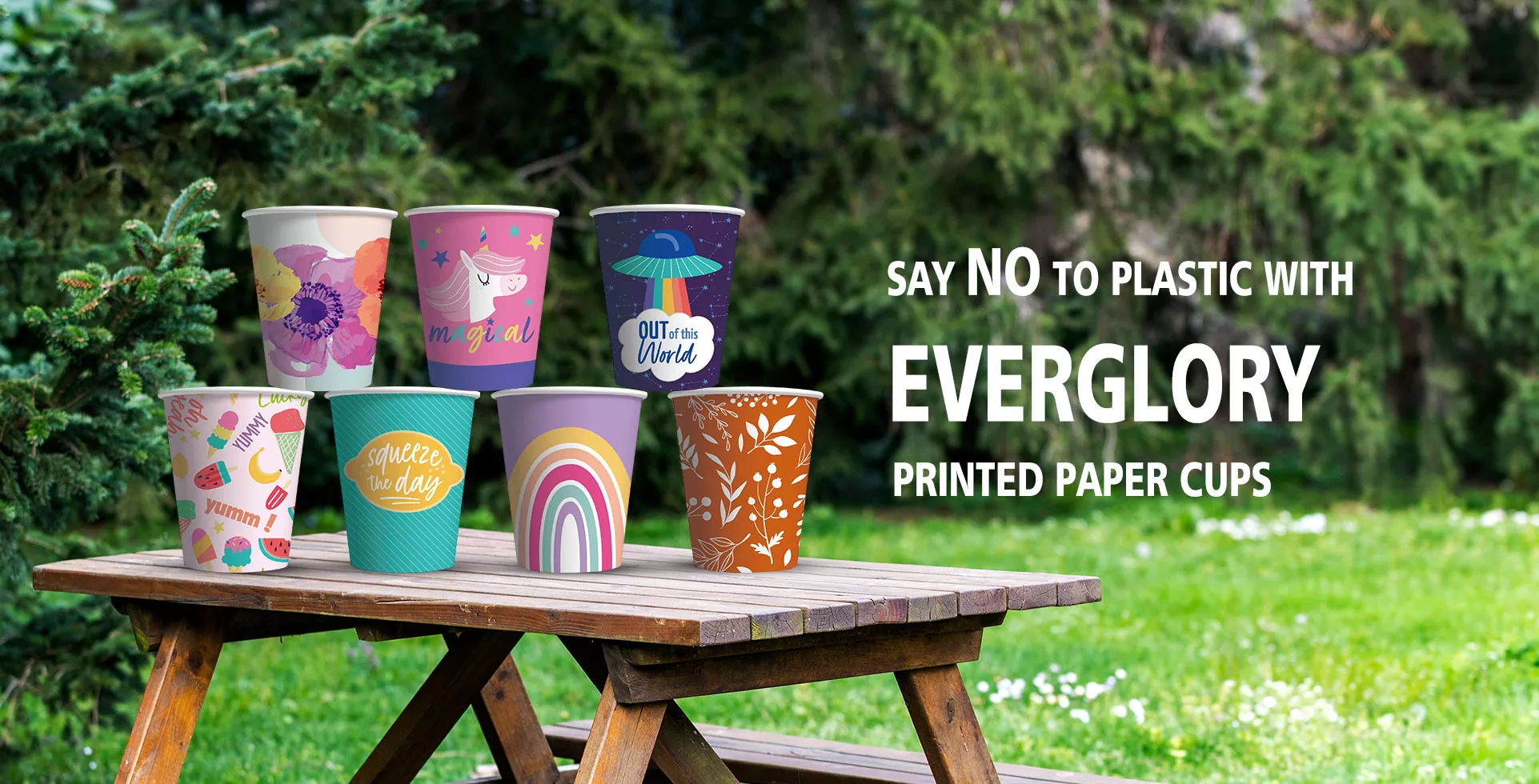 Proveedor de platos de papel impresos
