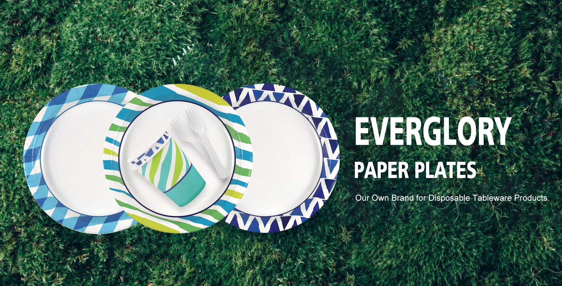 Proveedor de platos de papel desechables
